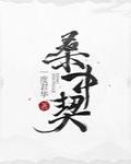 明月入君怀百度网盘